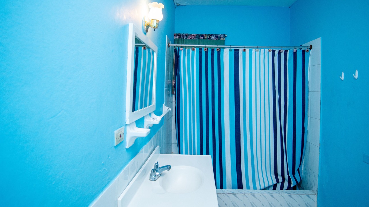 Photo of Bathroom in Black River