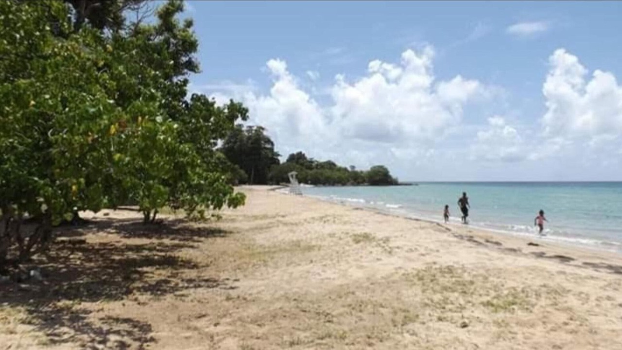 Photo of Others in Port Morant