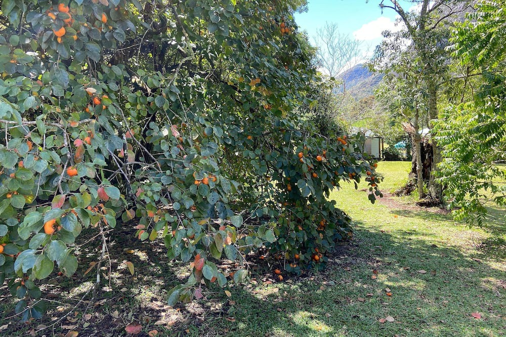 Photo of Outdoor in Fazenda Inglesa