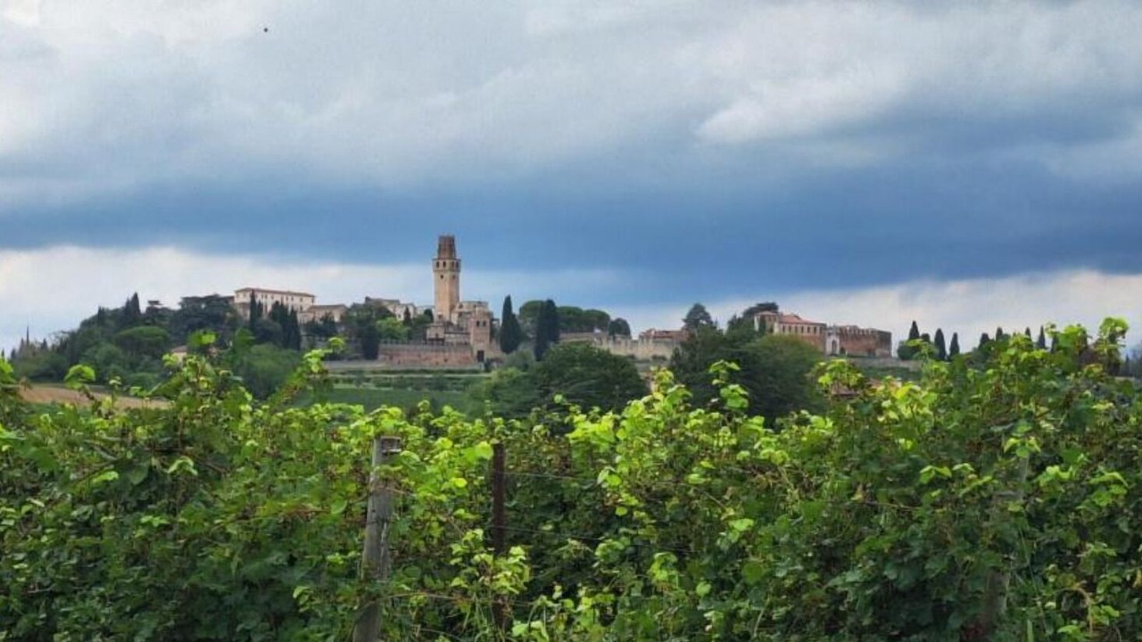 Photo of Others in Susegana