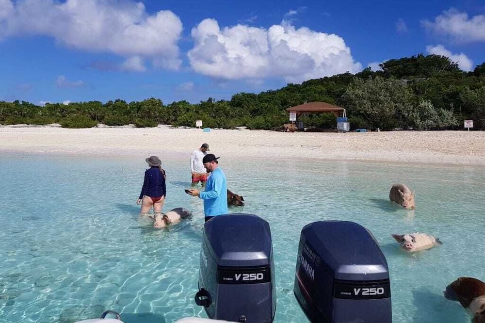 Photo of Others in Tar Bay