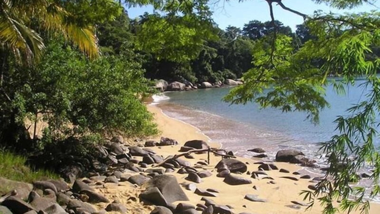 Photo of Others in Paraty