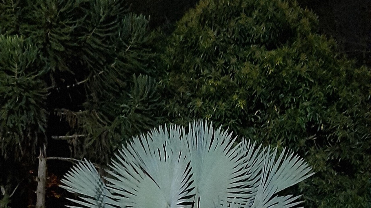 Photo of Outdoor in Conservatoria