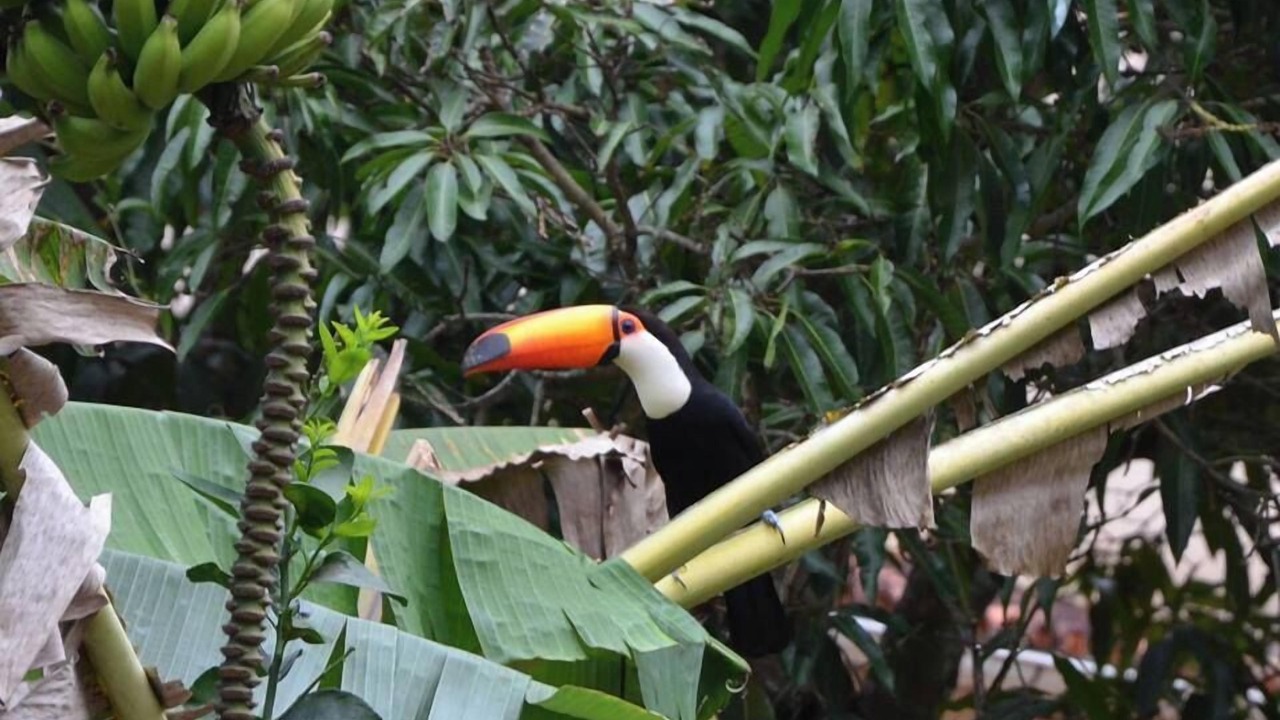 Photo of Outdoor in Conservatoria