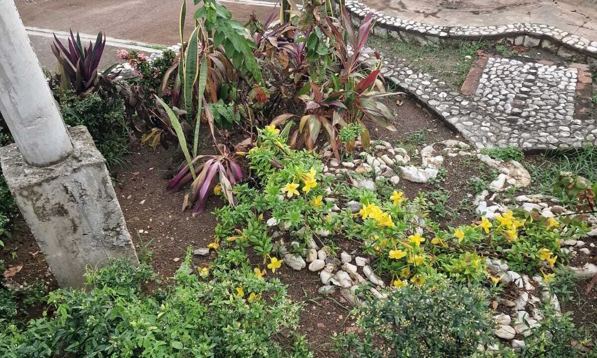 Photo of Outdoor in Cave
