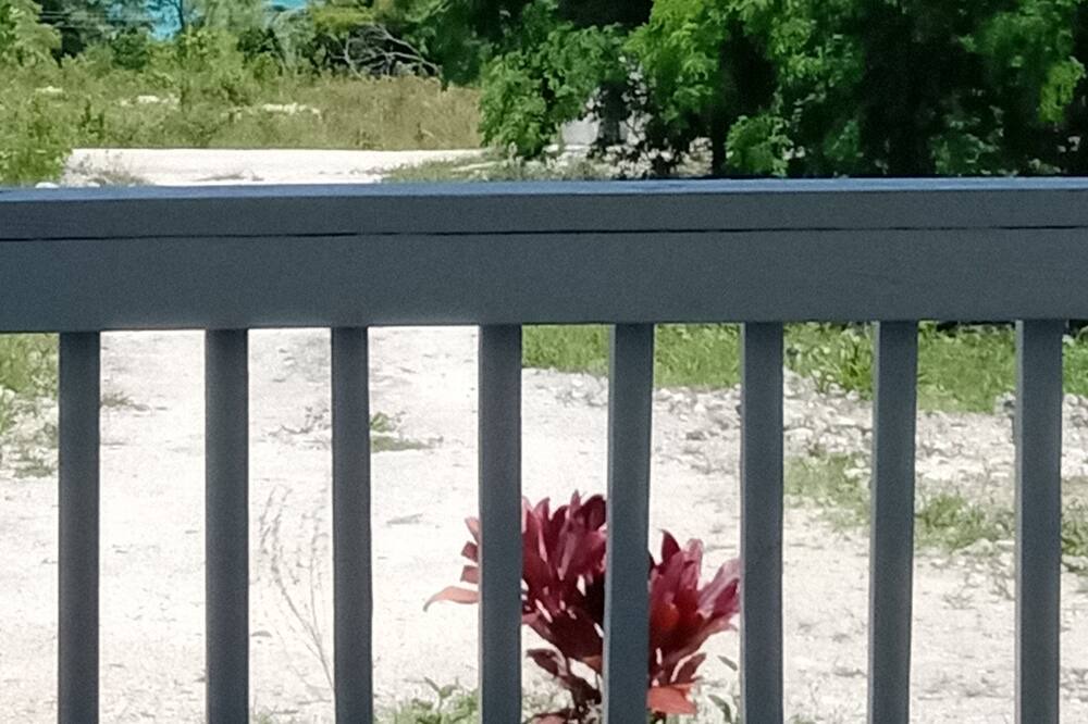 Photo of Outdoor in Rolleville