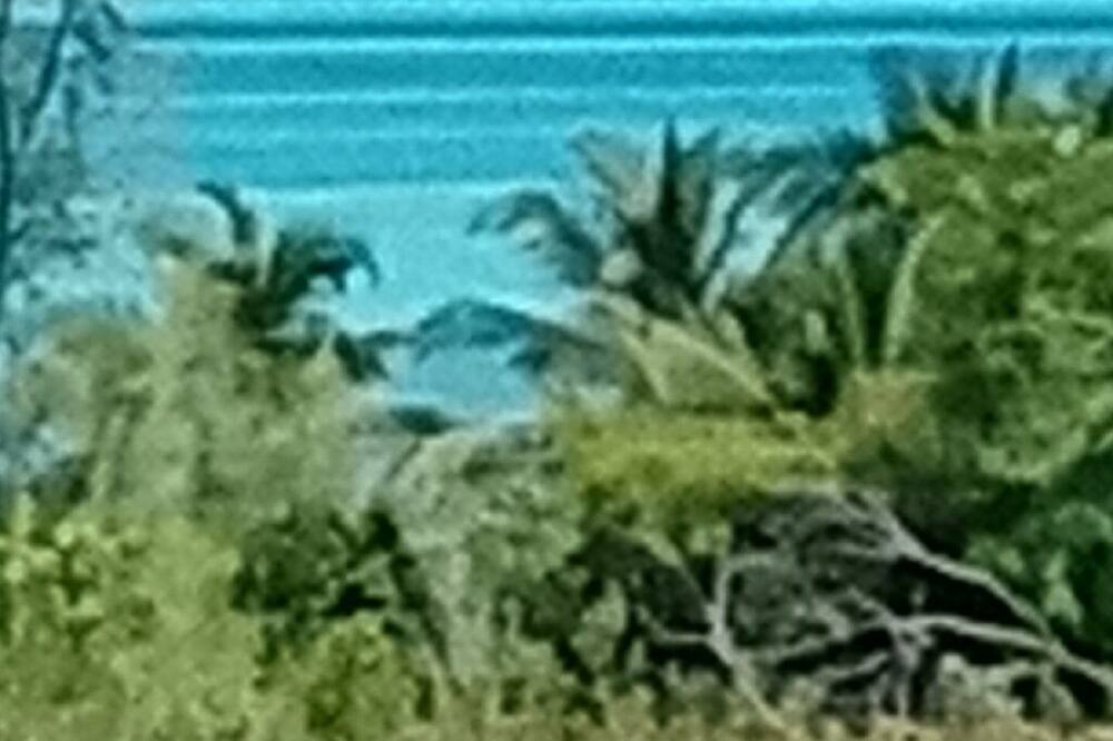 Photo of Outdoor in Rolleville
