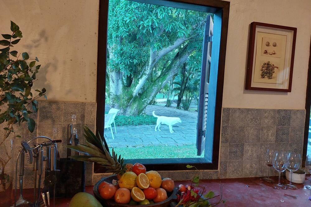 Photo of Others in Cachoeiras de Macacu
