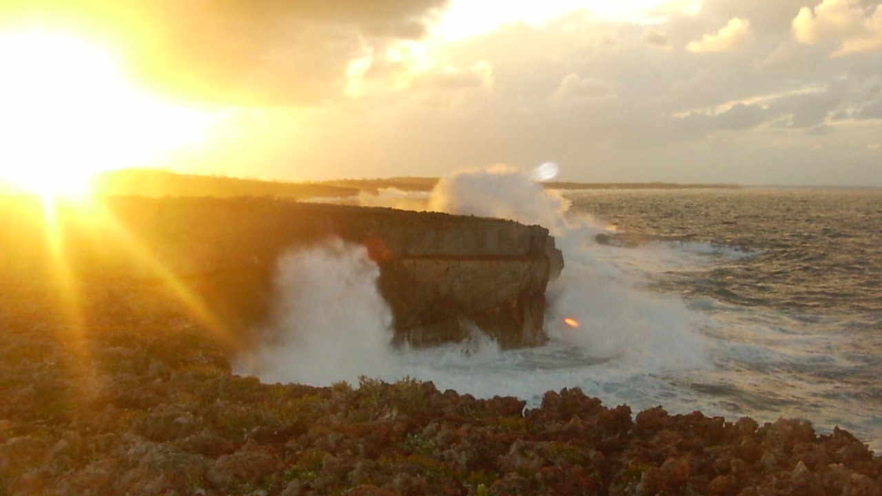 Photo of Others in North Palmetto Point