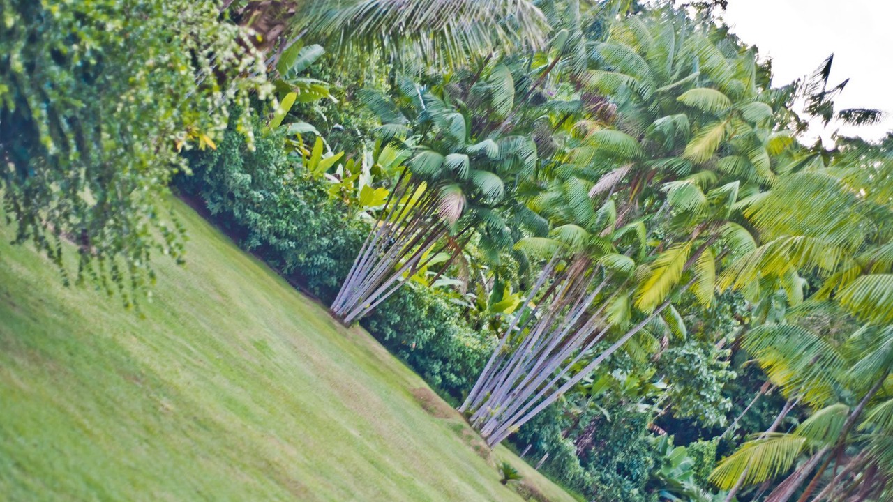 Photo of Outdoor in Barra Grande