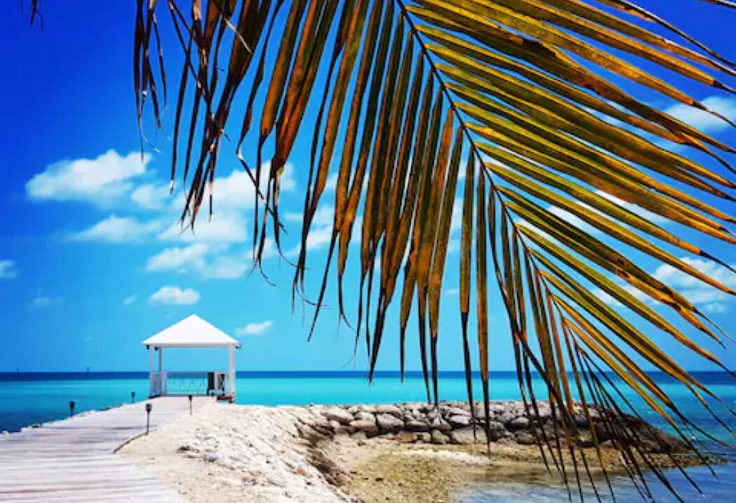 Photo of Others in Palm Cay