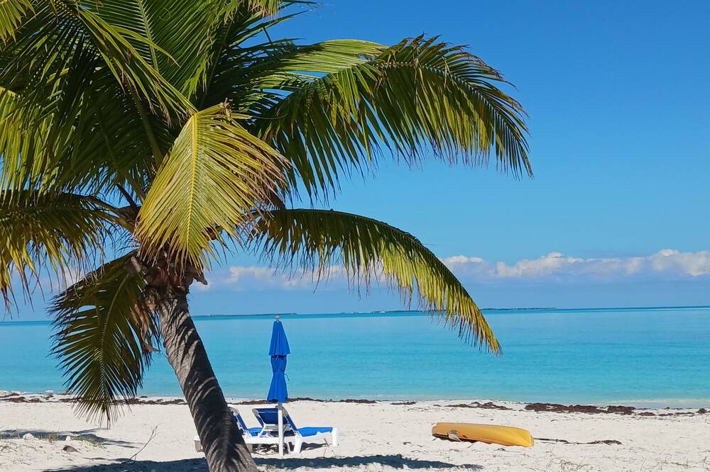 Photo of Others in Treasure Cay