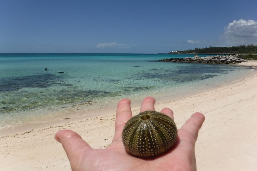 Photo of Others in Rainbow Bay