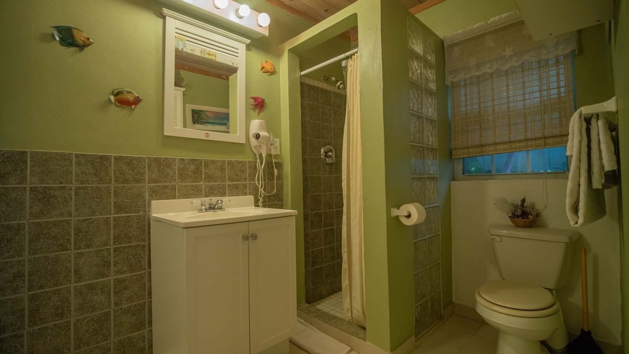 Photo of Bathroom in North Palmetto Point