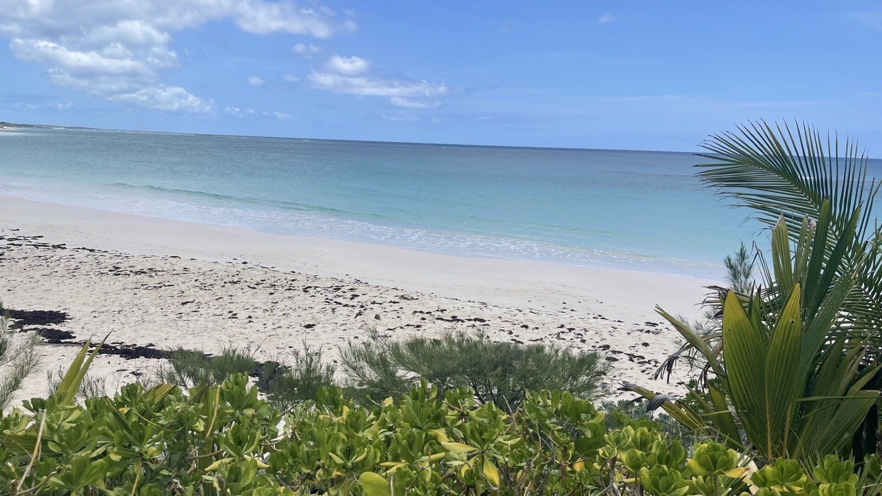 Photo of Others in North Palmetto Point