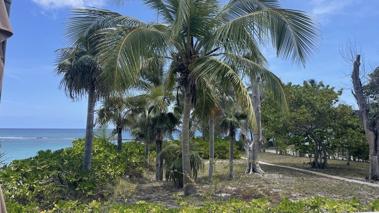 Photo of Others in North Palmetto Point