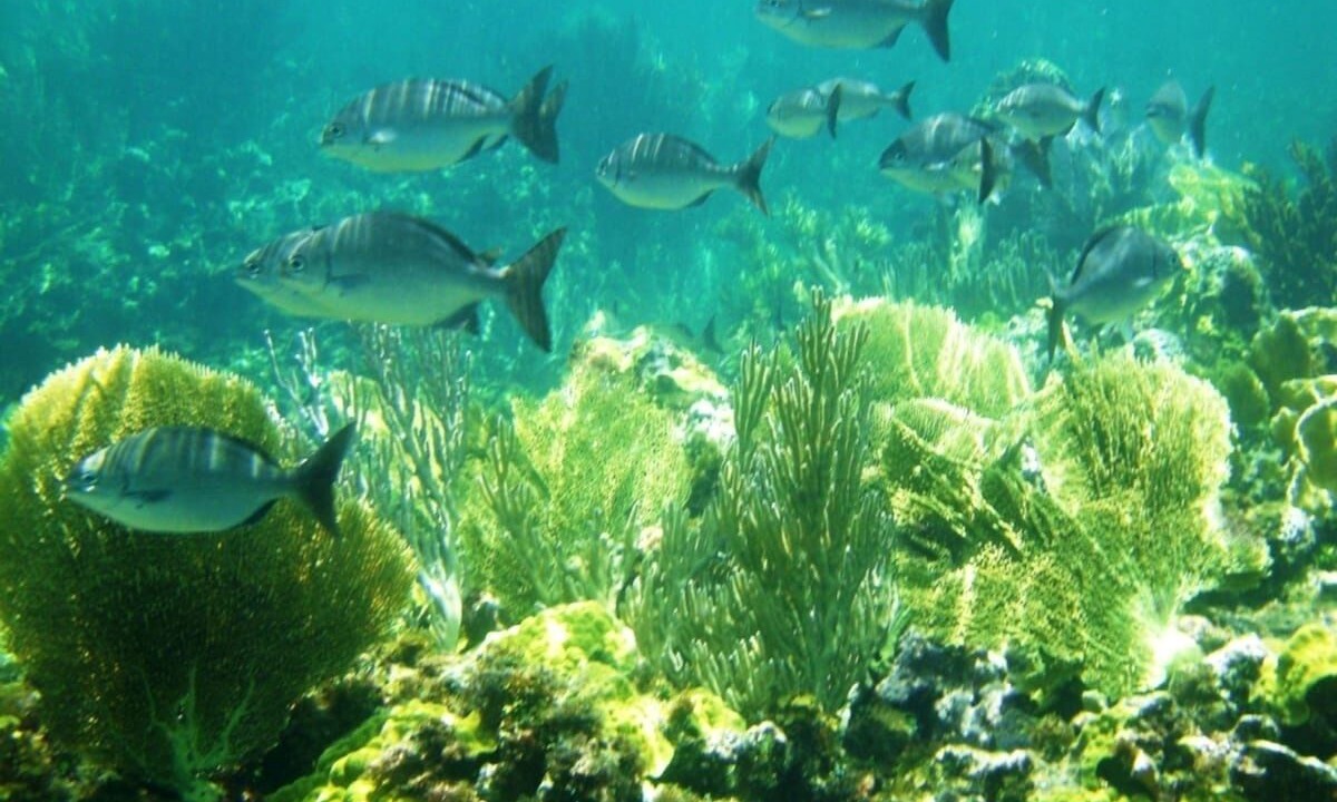 Photo of Others in Governor's Harbour