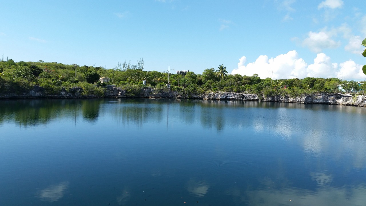 Photo of Others in South Palmetto Point