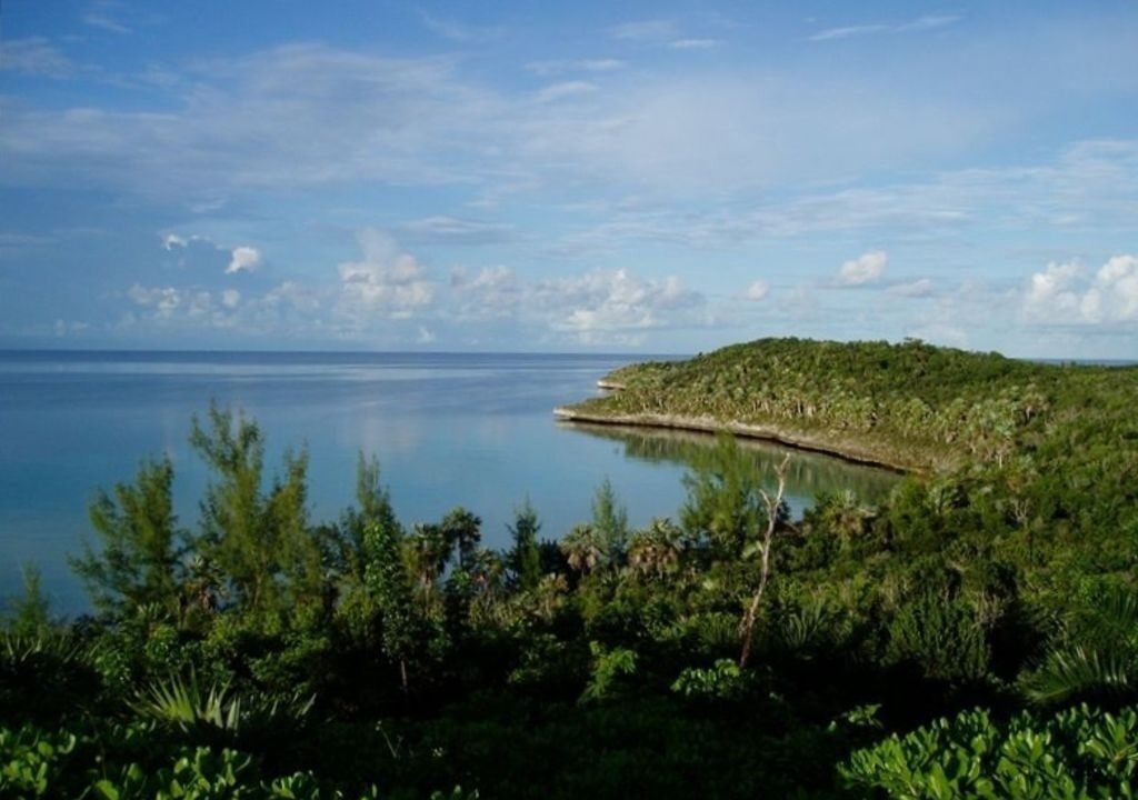 Photo of Others in South Palmetto Point