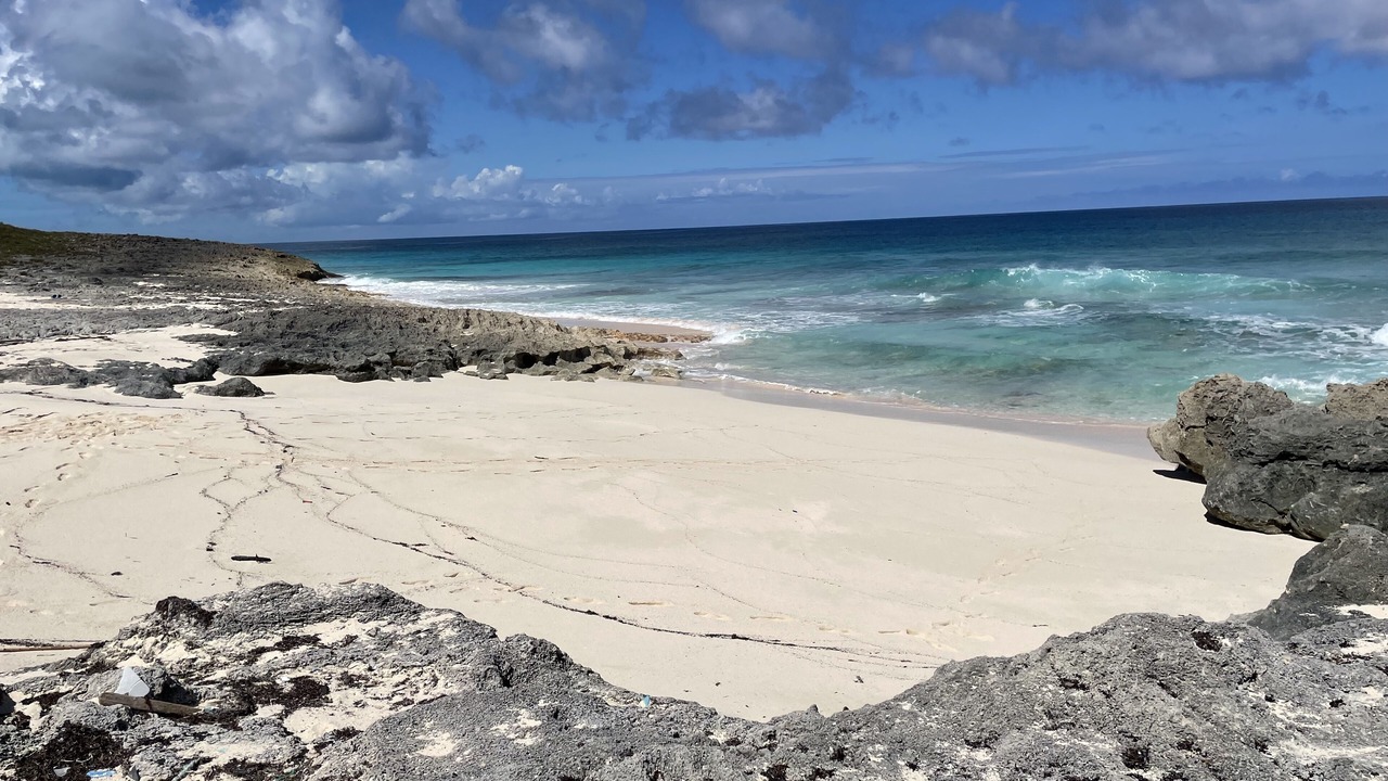 Photo of Others in Rainbow Bay