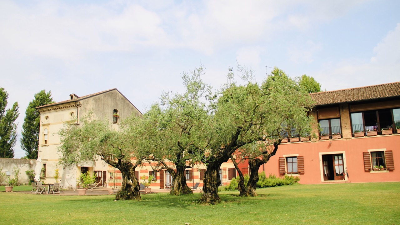 Photo of Outdoor in San Martino Buon Albergo