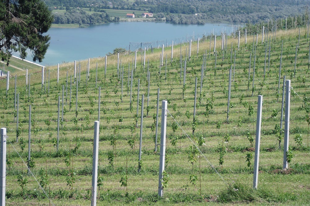 Photo of Outdoor in Ponte nelle Alpi