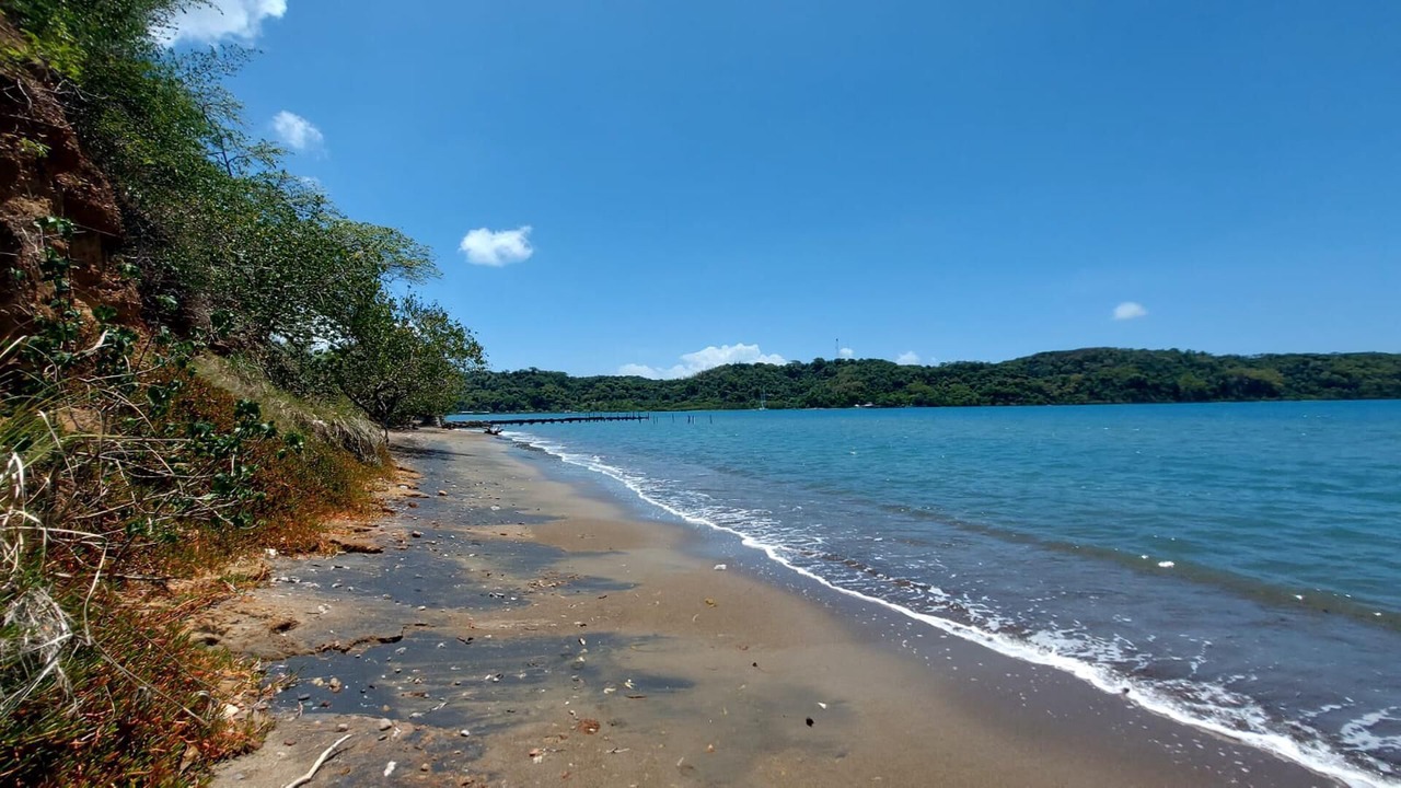 Photo of Others in Port Morant