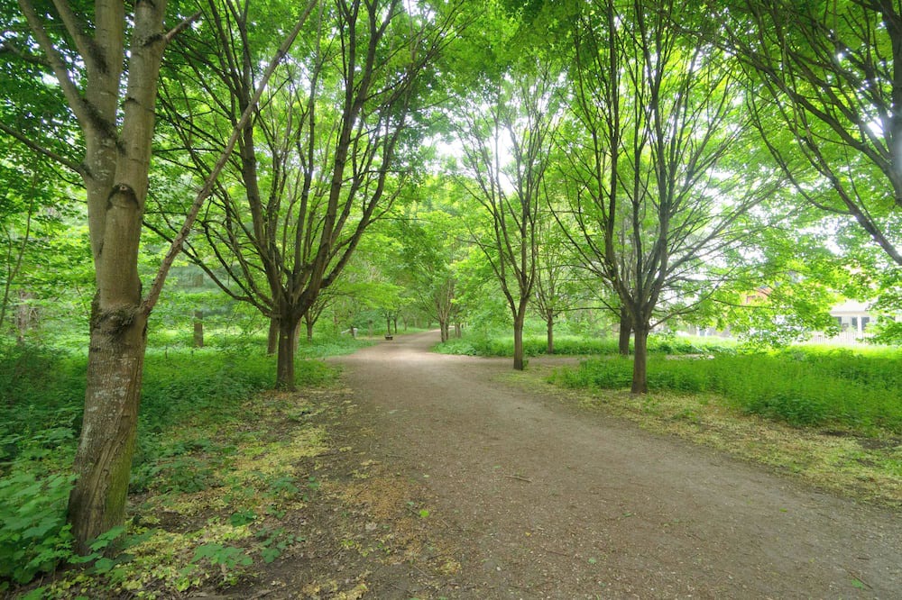 Photo of Outdoor in Clamart