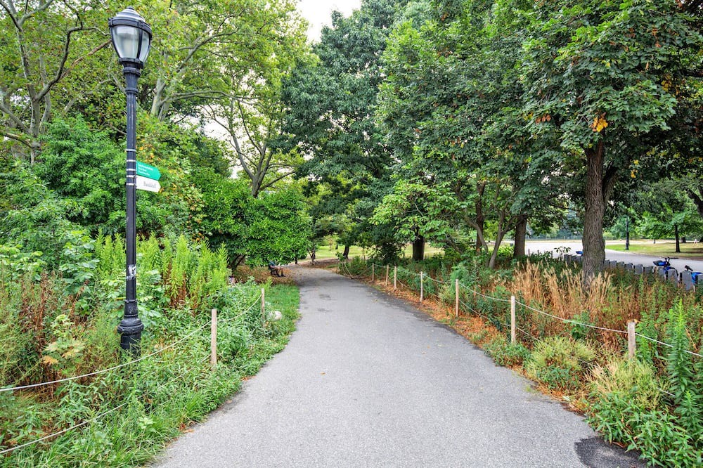 Photo of Outdoor in South Slope