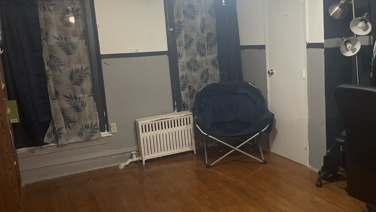 Photo of Others in Bedford-Stuyvesant
