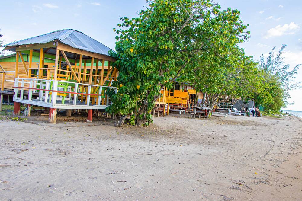 Photo of Outdoor in Lacovia