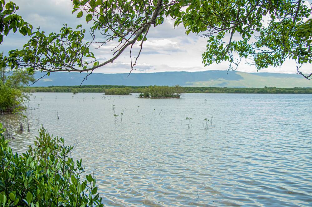 Photo of Outdoor in Lacovia