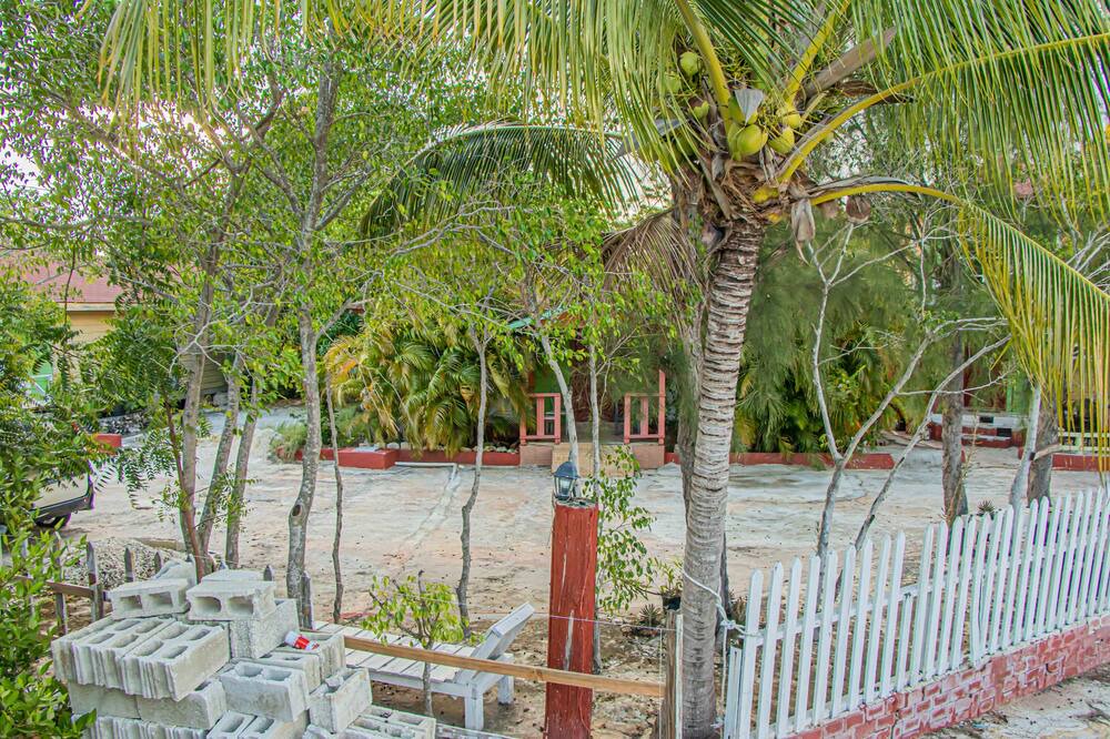 Photo of Outdoor in Lacovia