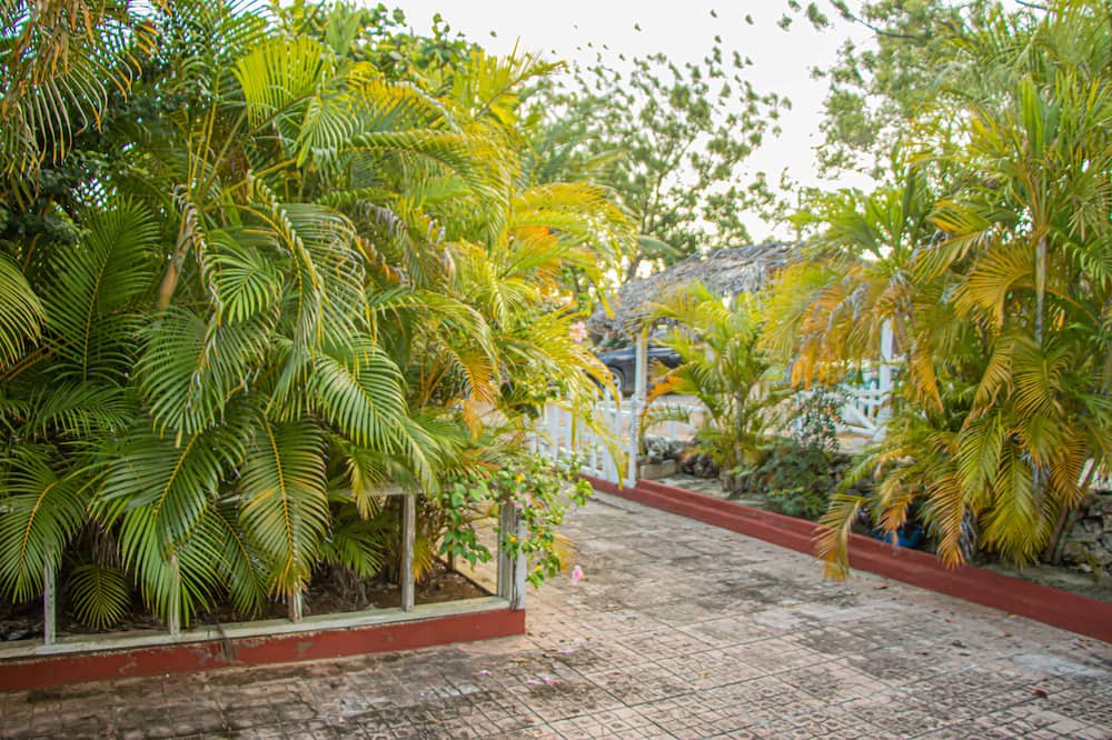 Photo of Outdoor in Lacovia