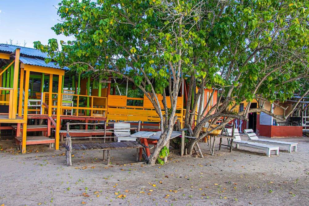 Photo of Outdoor in Lacovia