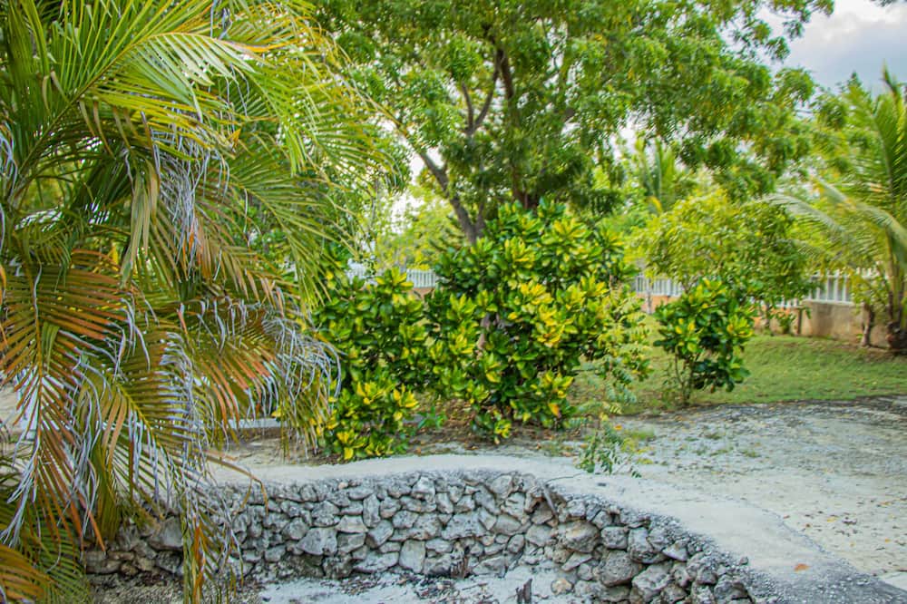 Photo of Outdoor in Lacovia