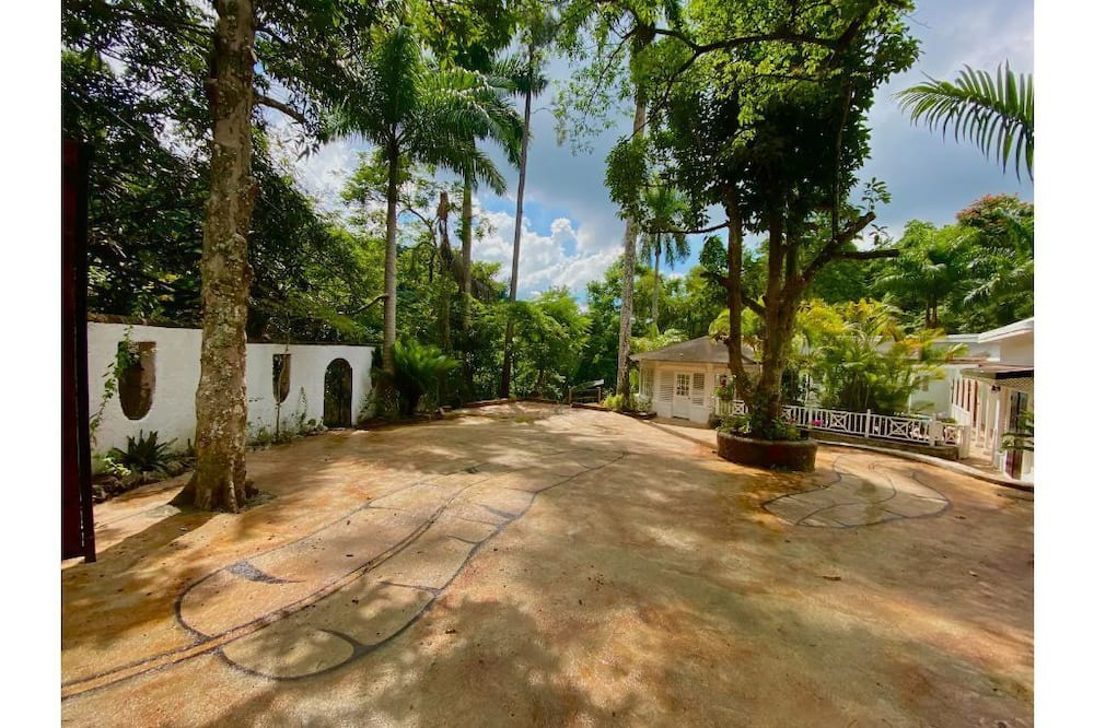 Photo of Outdoor in Kingston