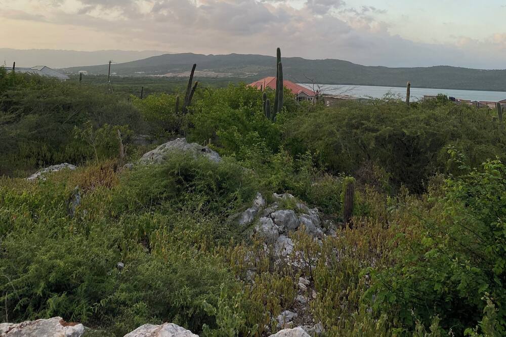 Photo of Others in Cave Hill Estate