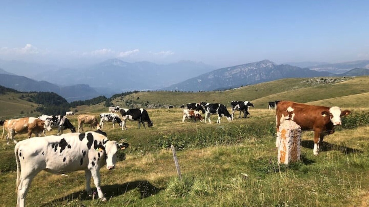 Photo of Others in Erbezzo