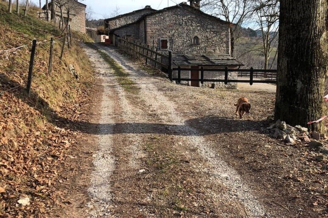Photo of Outdoor in Erbezzo