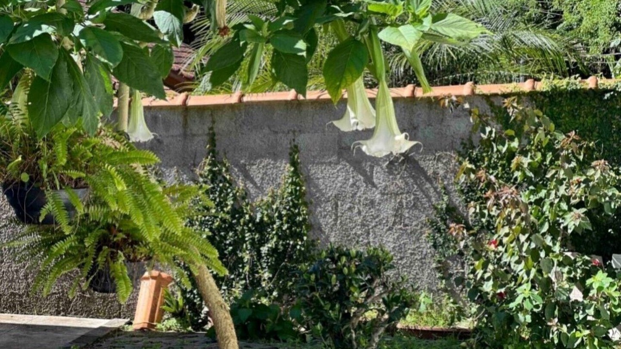 Photo of Outdoor in Sao Pedro da Serra