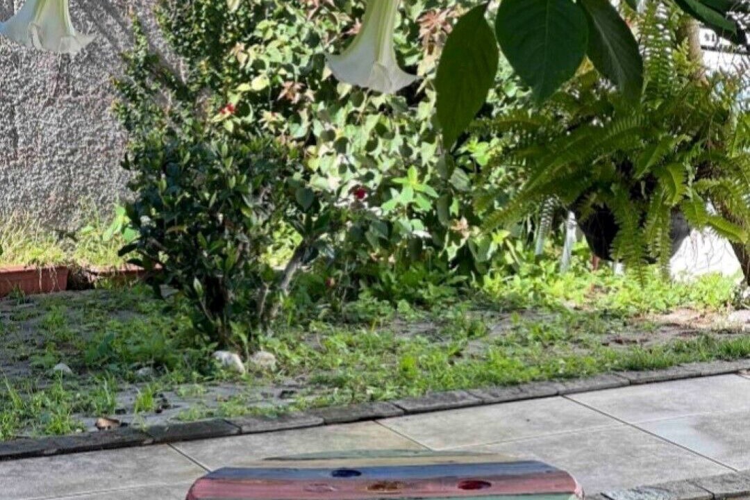 Photo of Outdoor in Sao Pedro da Serra