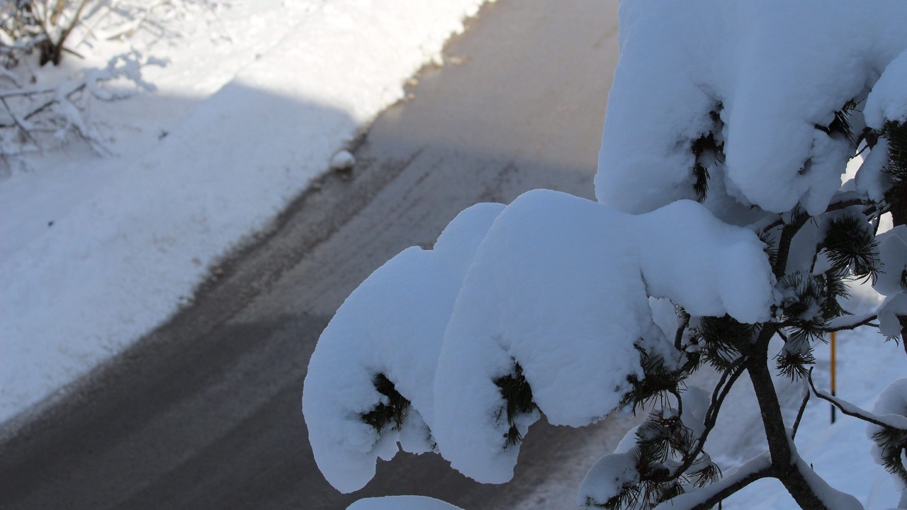 Photo of Outdoor in Belluno