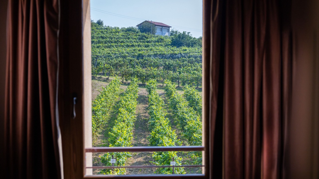 Photo of Bedroom in Valdobbiadene