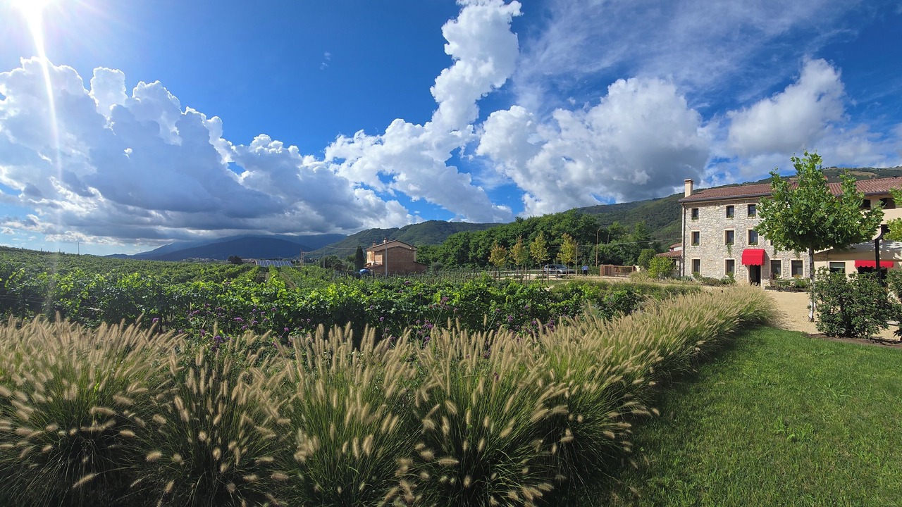 Photo of Outdoor in Valdobbiadene