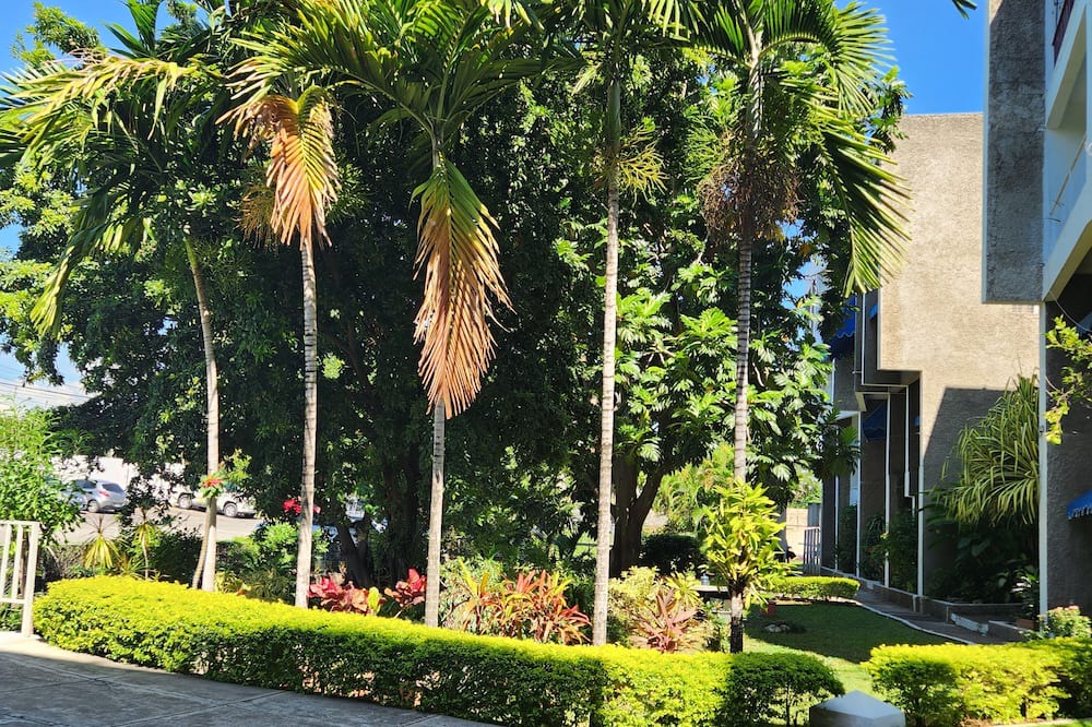 Photo of Outdoor in Beverly Hills