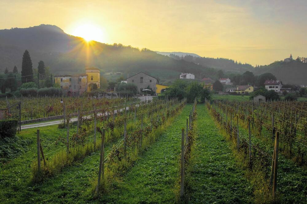 Photo of Outdoor in Crespino