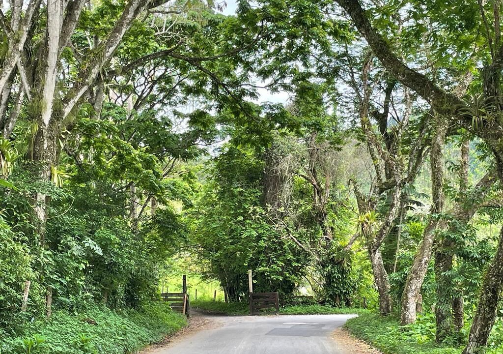 Photo of Others in Paraty