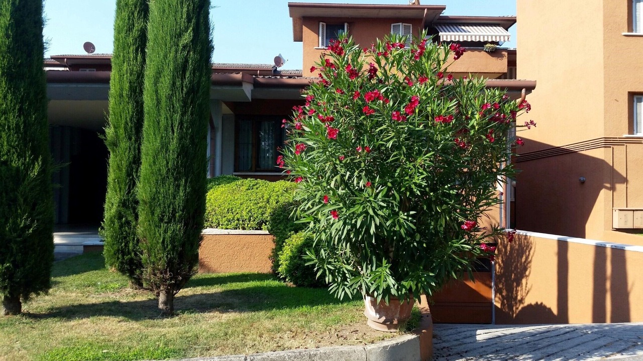 Photo of Outdoor in Peschiera del Garda