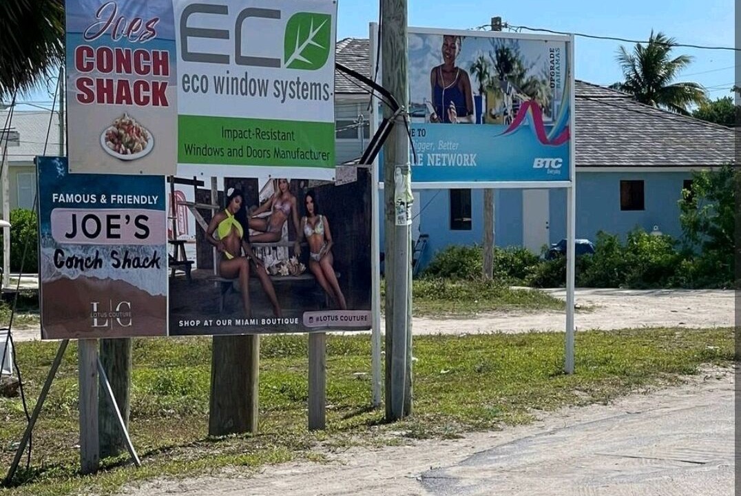 Photo of Others in Alice Town